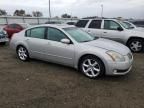 2006 Nissan Maxima SE