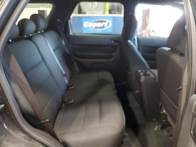 2009 Ford Escape XLT