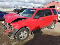 2009 Ford Escape XLT en venta en London, ON