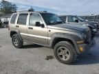 2006 Jeep Liberty Renegade