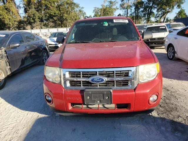 2011 Ford Escape XLT