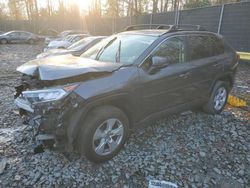 2019 Toyota Rav4 XLE en venta en Waldorf, MD