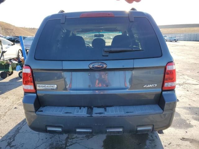 2009 Ford Escape XLT