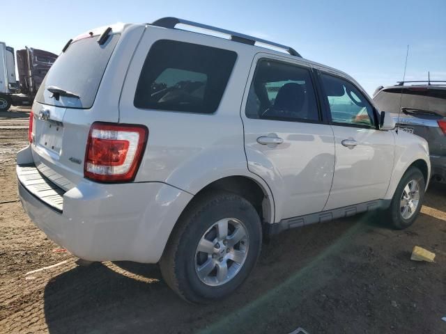 2009 Ford Escape Limited