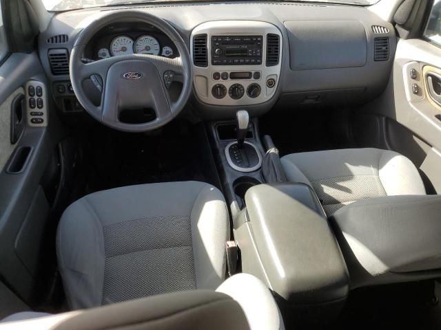 2006 Ford Escape XLT