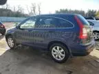 2007 Honda CR-V EXL