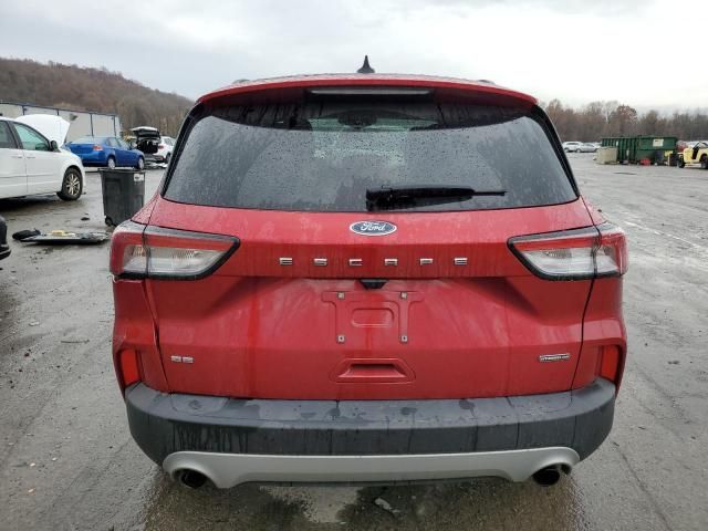 2020 Ford Escape SE Sport