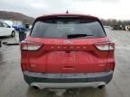 2020 Ford Escape SE Sport