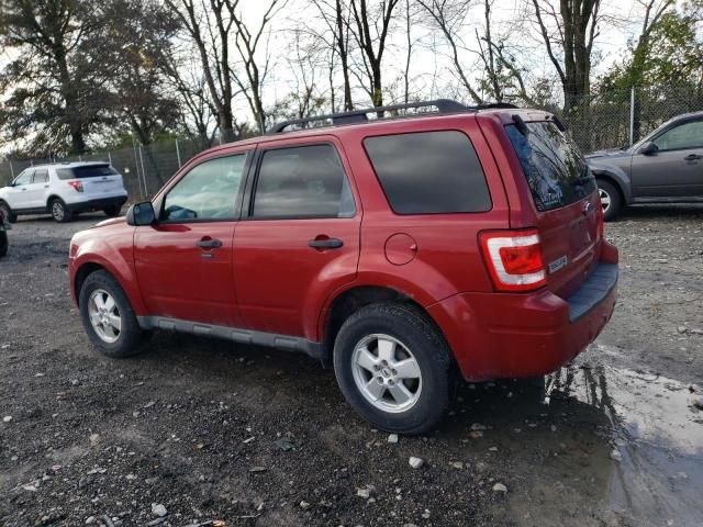 2011 Ford Escape XLT