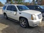 2008 Cadillac Escalade Luxury