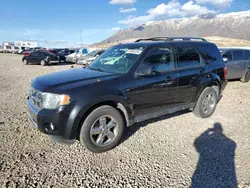 Salvage cars for sale at Farr West, UT auction: 2011 Ford Escape Limited