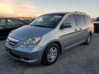 2007 Honda Odyssey EXL