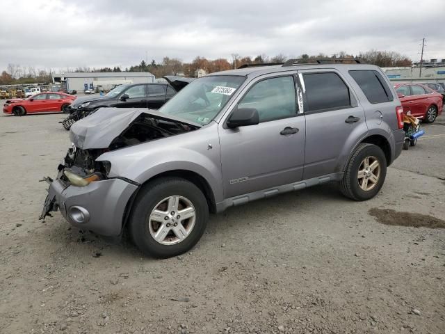 2008 Ford Escape HEV