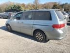 2008 Honda Odyssey EXL