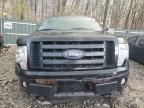 2010 Ford F150