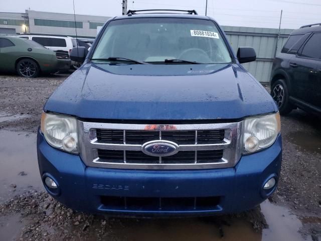 2008 Ford Escape XLT