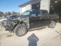 Ford salvage cars for sale: 2014 Ford F150 Supercrew