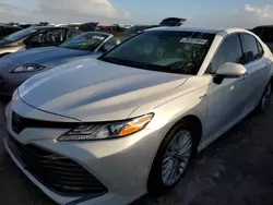 Toyota Camry xle salvage cars for sale: 2020 Toyota Camry XLE