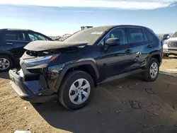 Toyota salvage cars for sale: 2023 Toyota Rav4 LE