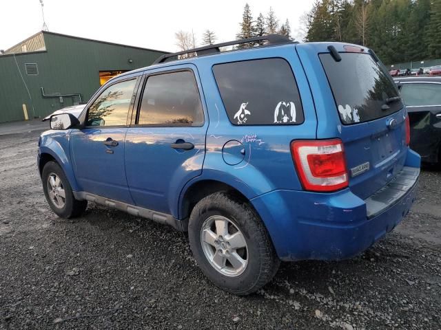 2011 Ford Escape XLT