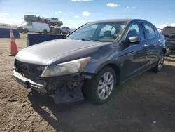 Honda salvage cars for sale: 2008 Honda Accord EXL