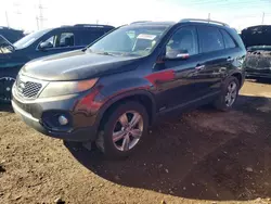 KIA Sorento ex Vehiculos salvage en venta: 2012 KIA Sorento EX