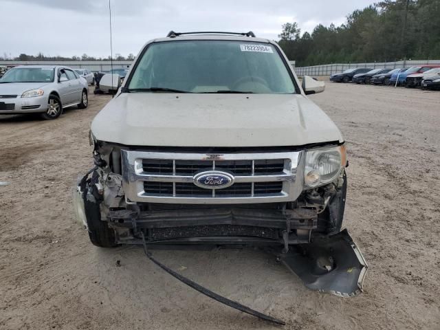 2012 Ford Escape Limited