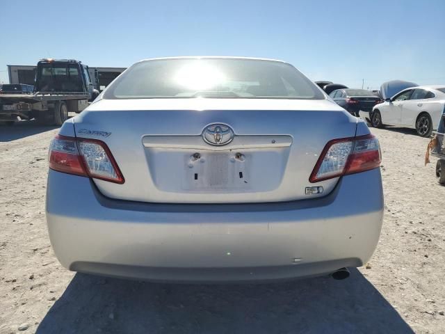 2009 Toyota Camry Hybrid