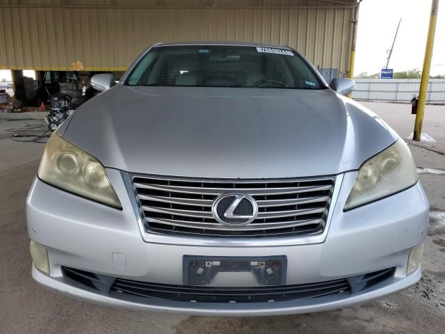 2010 Lexus ES 350