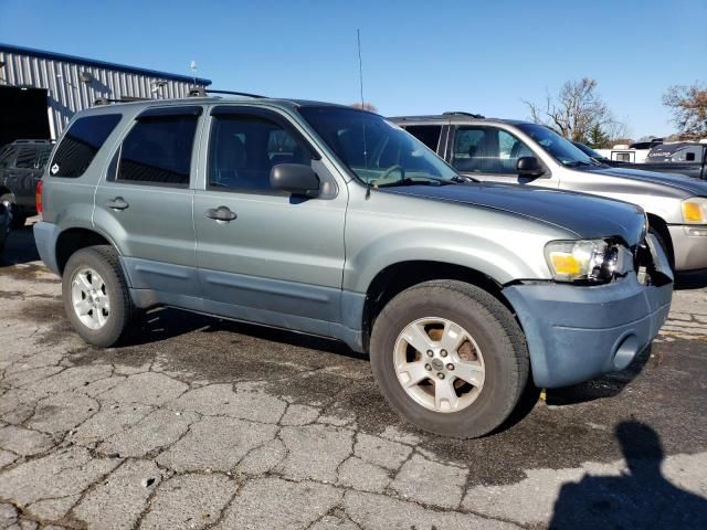 2006 Ford Escape XLT