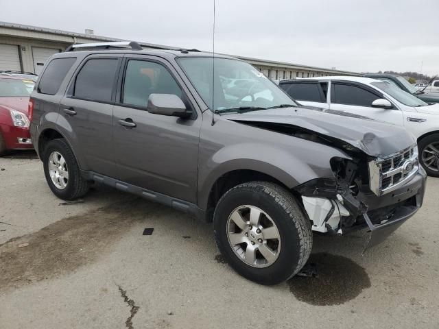 2012 Ford Escape Limited