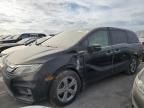 2019 Honda Odyssey EXL