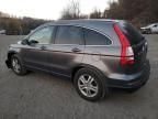 2011 Honda CR-V EXL