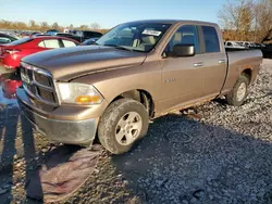 Dodge Vehiculos salvage en venta: 2010 Dodge RAM 1500