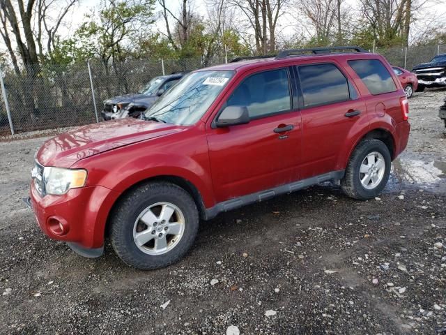 2011 Ford Escape XLT