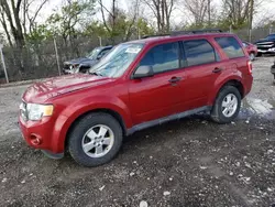 Ford salvage cars for sale: 2011 Ford Escape XLT