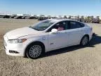 2014 Ford Fusion Titanium Phev