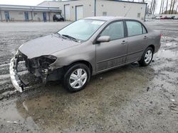 Toyota salvage cars for sale: 2004 Toyota Corolla CE