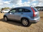 2007 Honda CR-V EX