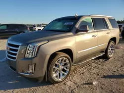 Cadillac Vehiculos salvage en venta: 2019 Cadillac Escalade Premium Luxury