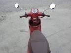 2024 Genuine Scooter Co. Buddy 50