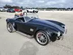 1965 Cobra Trike KIT Car