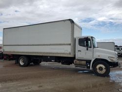 Salvage trucks for sale at Houston, TX auction: 2016 Hino 258 268