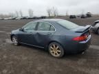 2005 Acura TSX