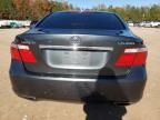 2007 Lexus LS 460