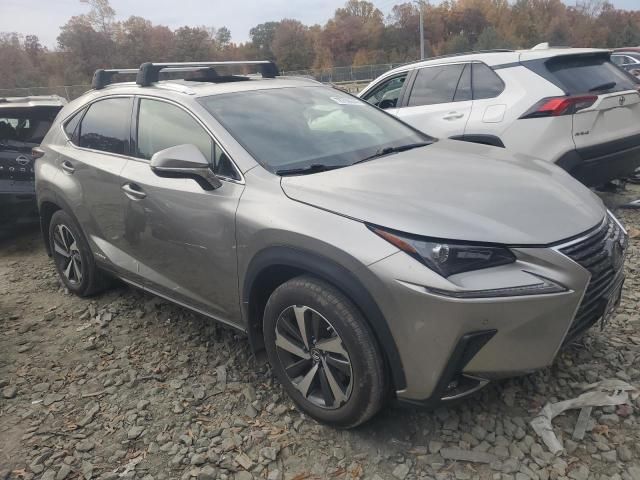 2021 Lexus NX 300H Base