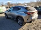 2023 Lexus NX 350H