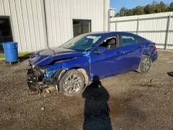 Hyundai Elantra salvage cars for sale: 2024 Hyundai Elantra SEL