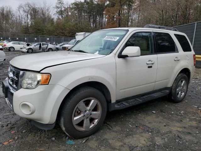 2010 Ford Escape Limited