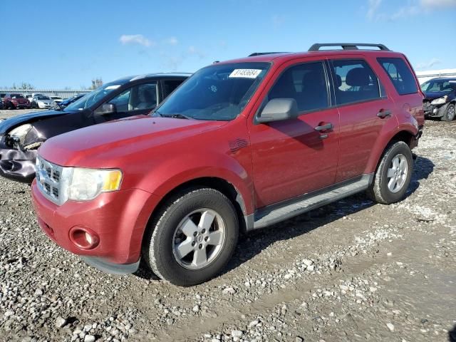 2011 Ford Escape XLT